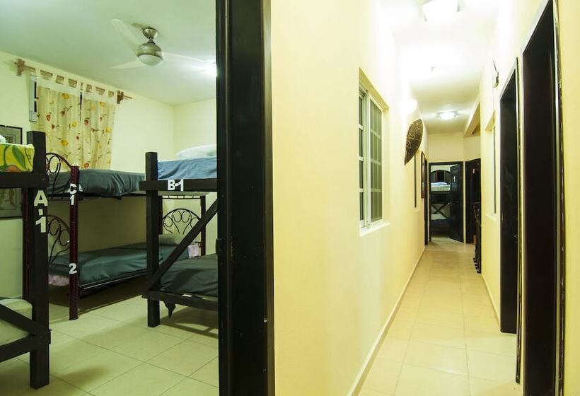 共用房间的床, Charlys Hostal Hostel