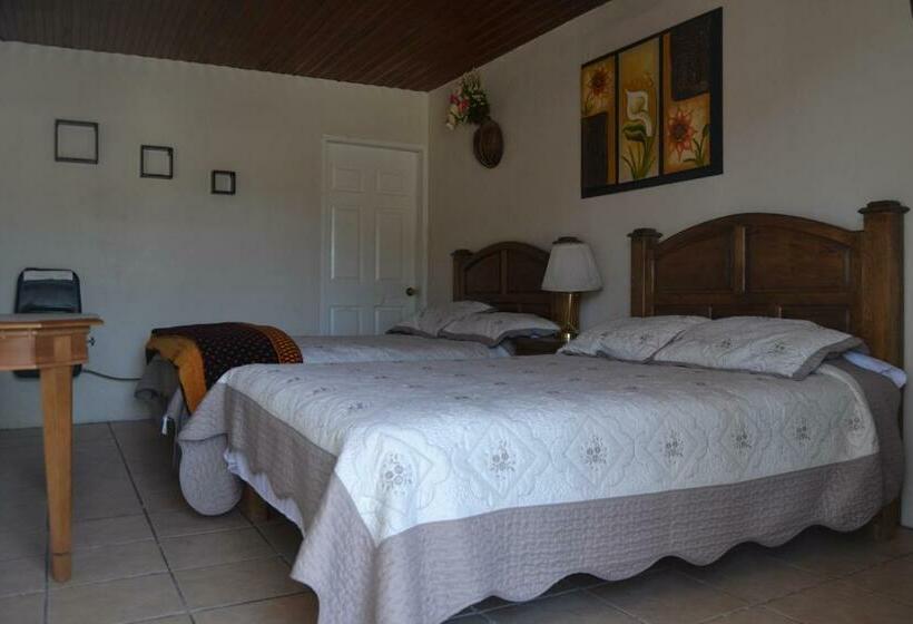 غرفه قياسيه سريرين مزدوجين, Doña Crucita