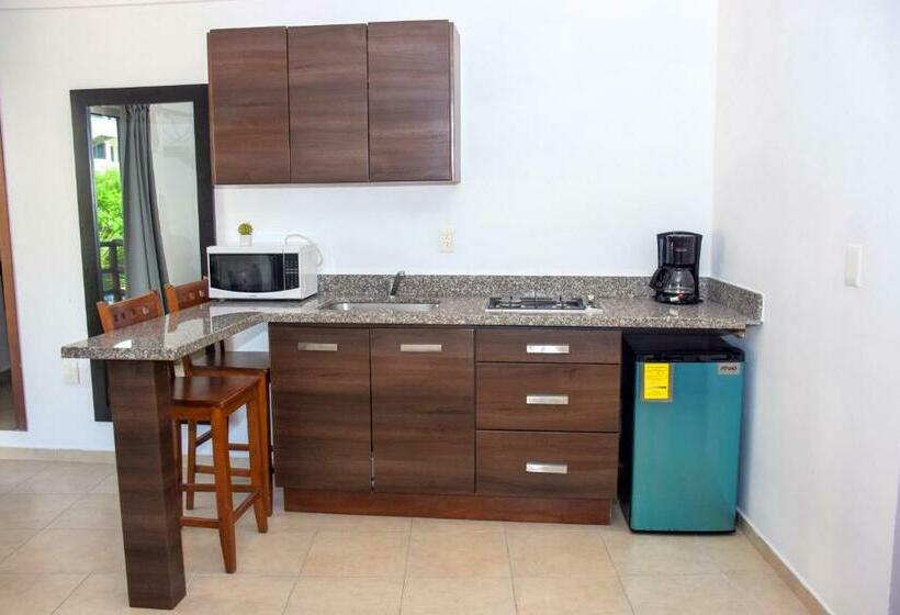 テラス付きスタンダードルーム, El Fuerte Beach Apartments