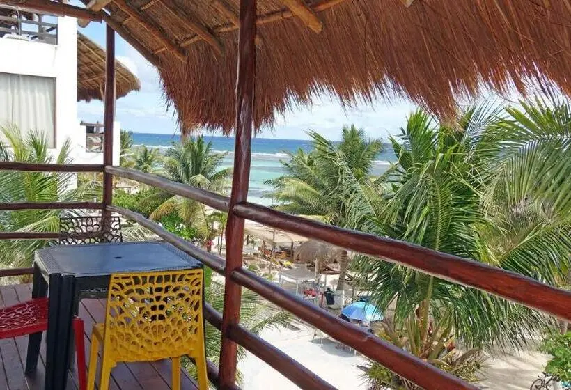 海の見える1ベッドルームアパートメント, El Fuerte Beach Apartments