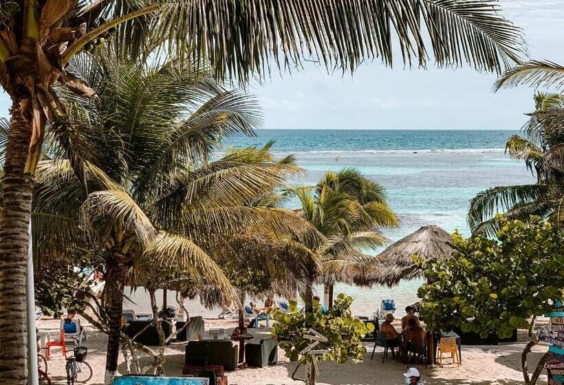 스탠다드 발코니 룸, El Fuerte Beach Apartments