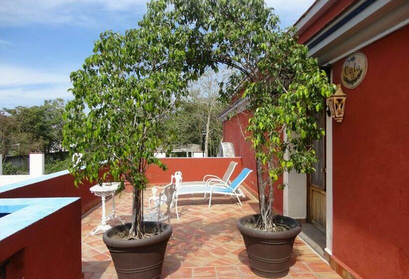 Стандартный Номер Кровать Кинг, Hacienda Flamingos