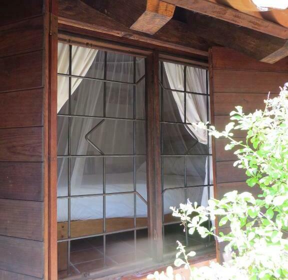 オーシャンビューのスタンダードバンガロー, La Loma Linda, Bungalows, Yoga And Feldenkrais, Starlink Internet