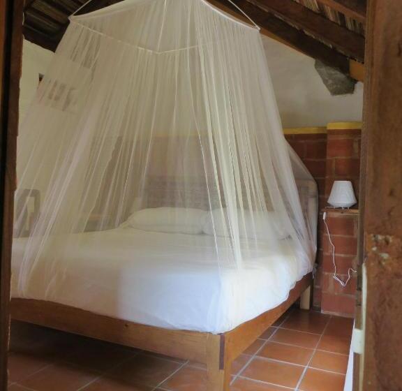 オーシャンビューのスタンダードバンガロー, La Loma Linda, Bungalows, Yoga And Feldenkrais, Starlink Internet