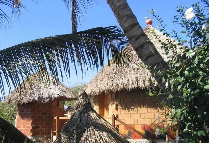 Standard-bungalow, La Loma Linda, Bungalows, Yoga And Feldenkrais, Starlink Internet