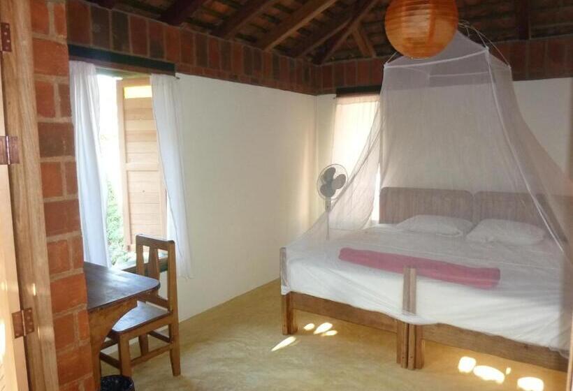 バス共有のスタンダードルーム, La Loma Linda, Bungalows, Yoga And Feldenkrais, Starlink Internet
