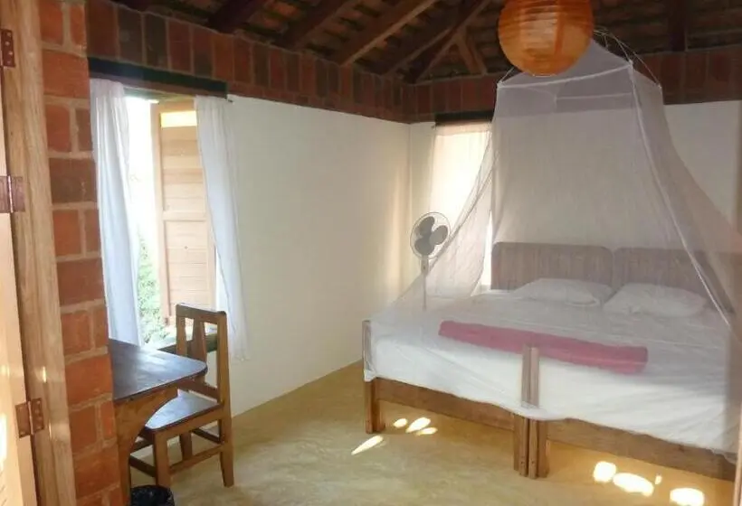 Standard-huone Jaettu Kylpyhuone, La Loma Linda, Bungalows, Yoga And Feldenkrais, Starlink Internet
