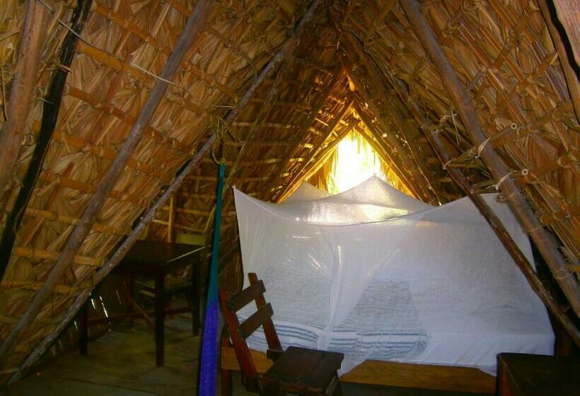 اتاق استاندارد با سرویس بهداشتی مشترک, Lo Cósmico