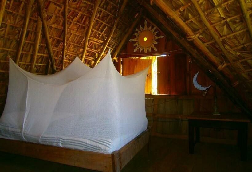 اتاق استاندارد با چشم‌انداز دریا, Lo Cósmico