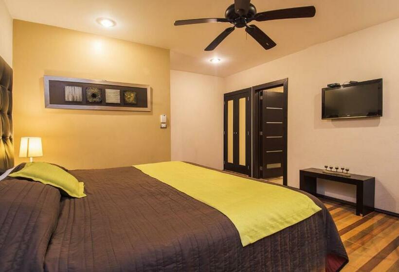 스탠다드 룸 킹사이즈 침대, Majova Inn Xalapa