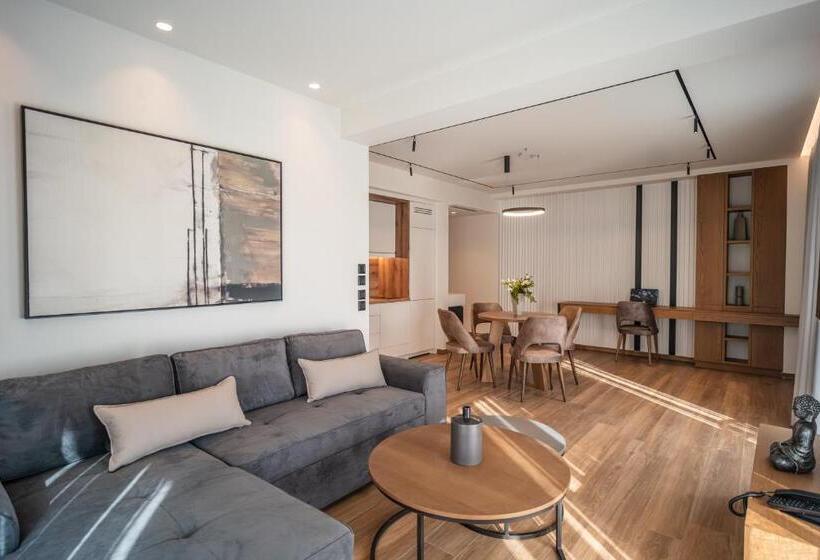 带1个卧室的高级公寓, Volos Inn