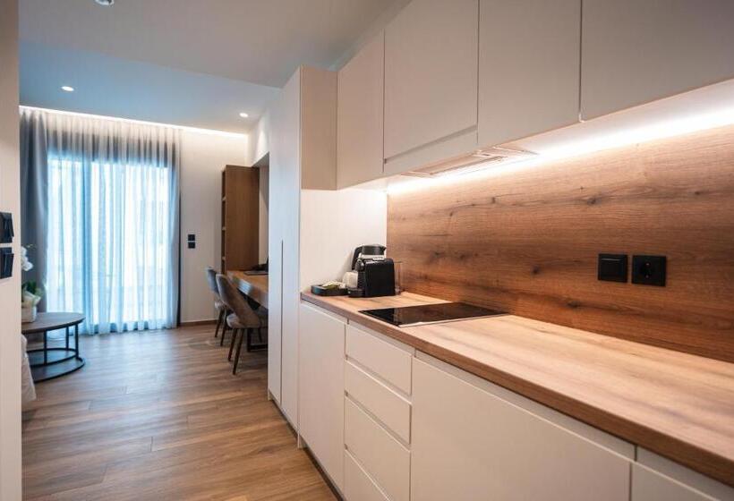 适合残疾人使用的标准间, Volos Inn