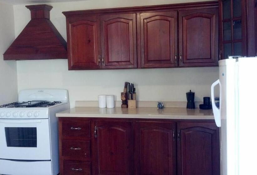 تختخواب در اتاق مشترک, Sana El Jardin Secreto