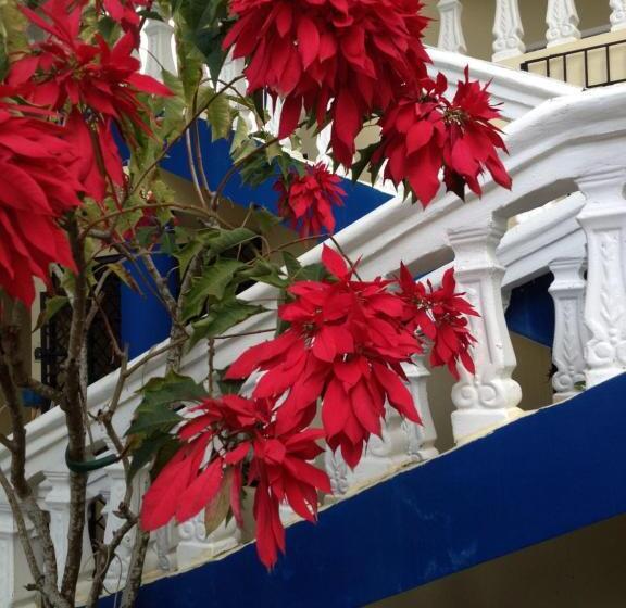 اتاق استاندارد, Sana El Jardin Secreto