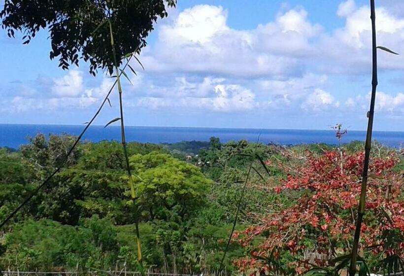 اتاق استاندارد چهار تخته با چشم‌انداز دریا, B&b El Mirador Al Mar