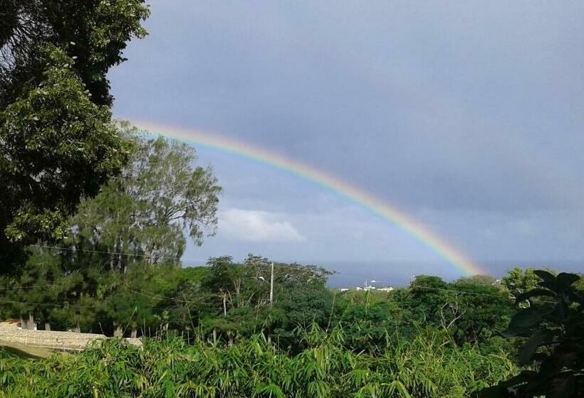 اتاق استاندارد چهار تخته با چشمانداز دریا, B&b El Mirador Al Mar