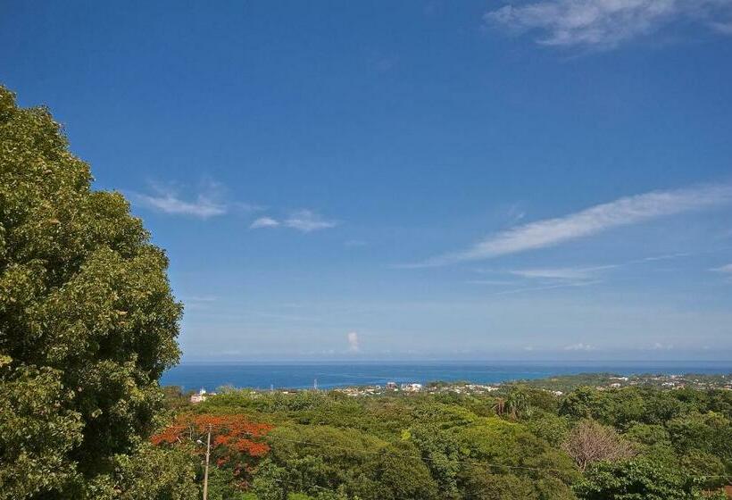 اتاق استاندارد چهار تخته با چشمانداز دریا, B&b El Mirador Al Mar