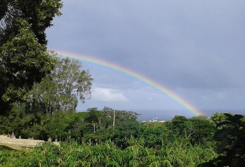 آپارتمان 1 خوابه, B&b El Mirador Al Mar