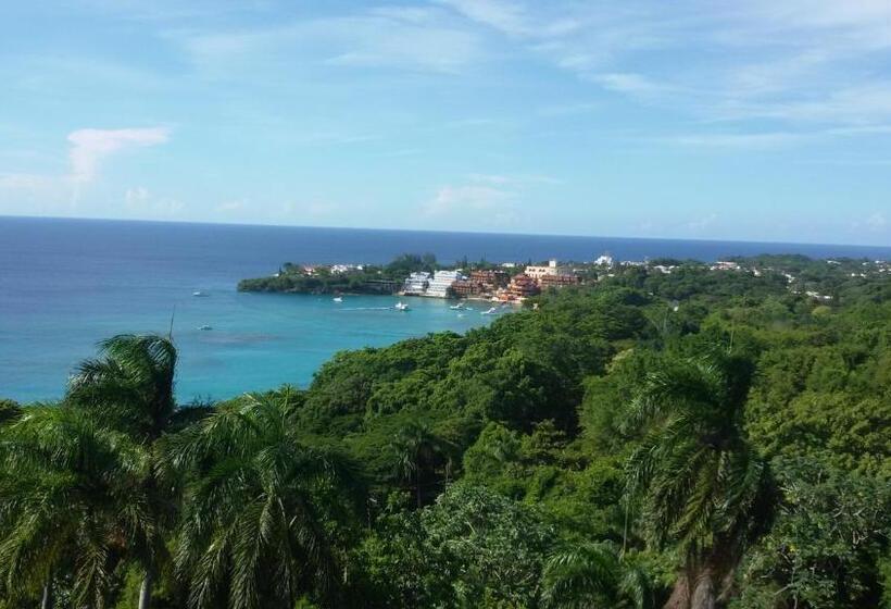 آپارتمان 1 خوابه, B&b El Mirador Al Mar