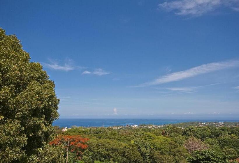 آپارتمان 1 خوابه, B&b El Mirador Al Mar