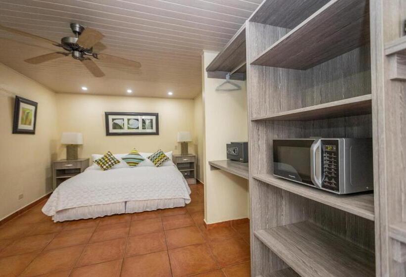 إستوديو قياسى مطلّ علي الحديقة, El Oasis Hotel Y Restaurante