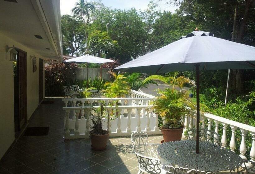 스탠다드 룸 공동 욕실, Hibiscus House Bed And Breakfast