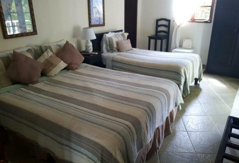 Номер Стандарт Трехместный, Hibiscus House Bed And Breakfast