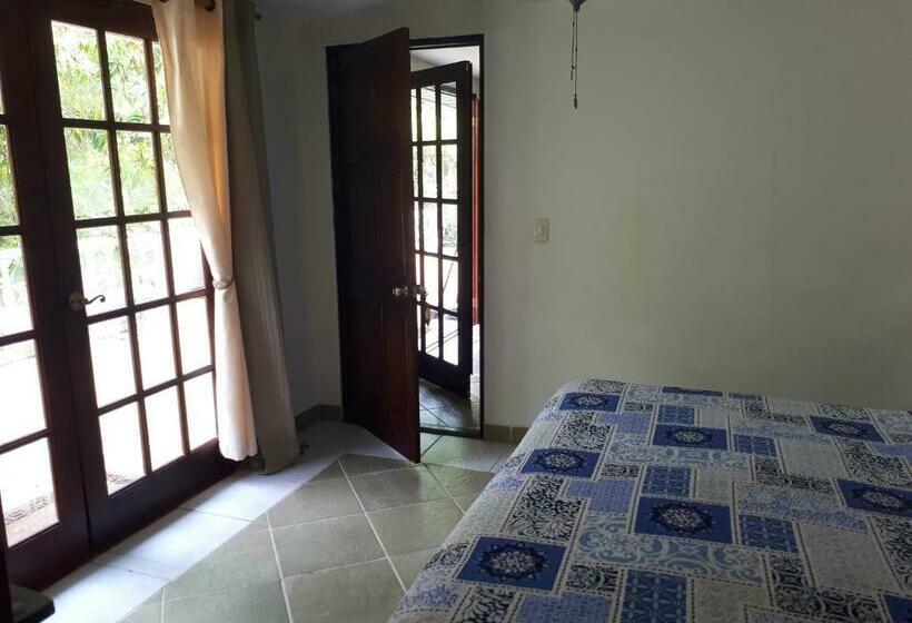 Стандартный Номер Кровать Кинг, Hibiscus House Bed And Breakfast