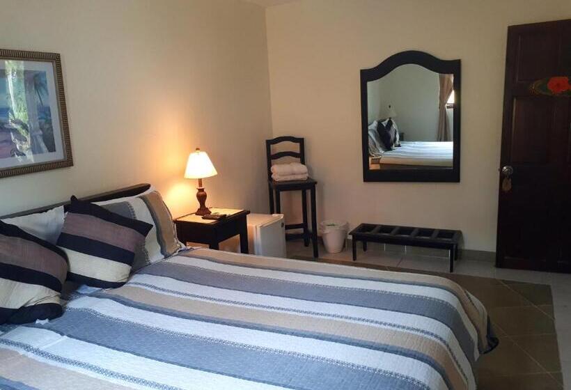 스탠다드 룸 킹사이즈 침대, Hibiscus House Bed And Breakfast
