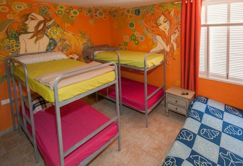 공동 객실, Hostel Los Duendes Del Sur