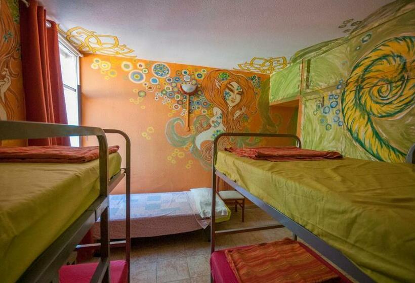 공동 객실, Hostel Los Duendes Del Sur