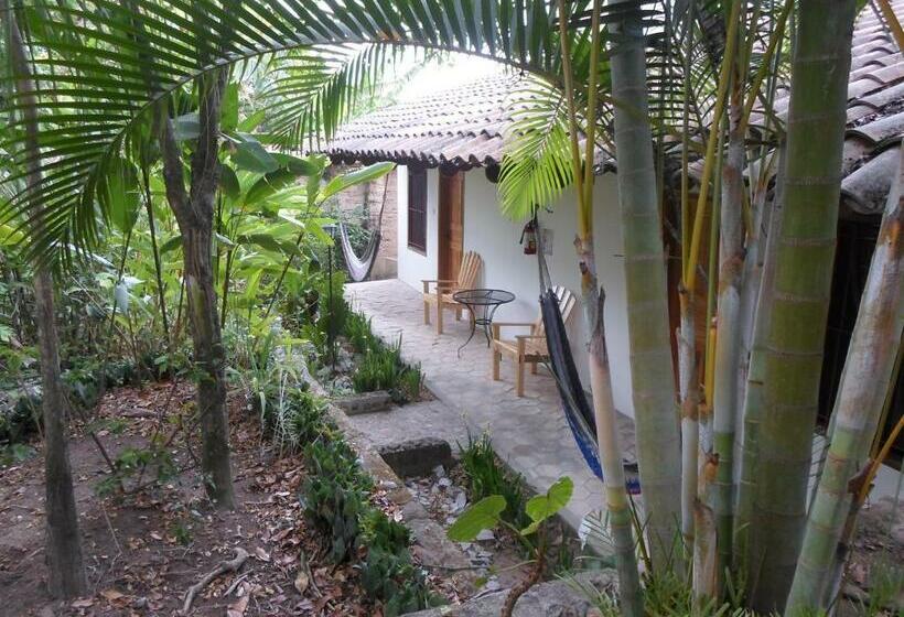 اتاق استاندارد, And Restaurant Guancascos