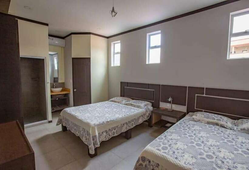 Habitación Deluxe, Celebertti