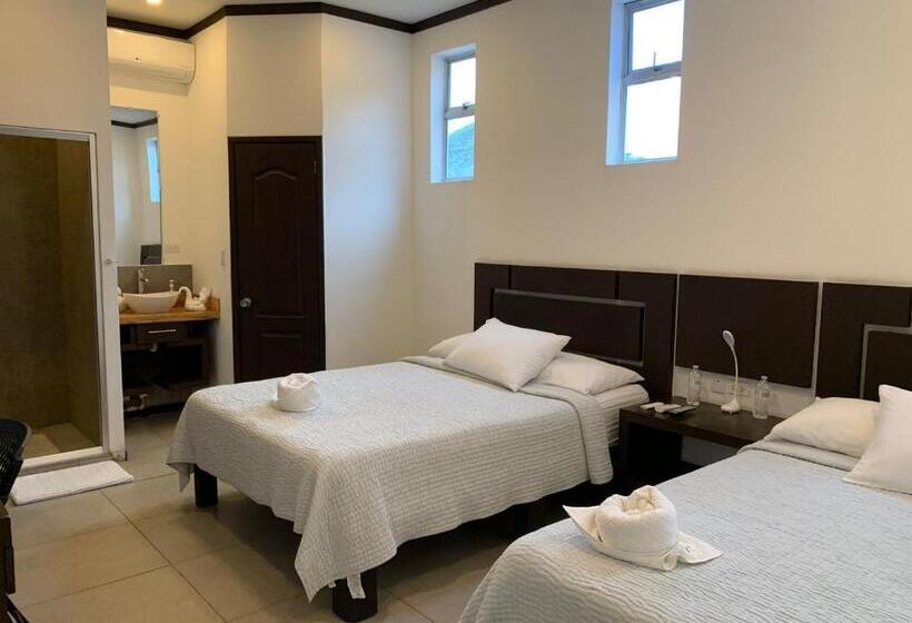 اتاق استاندارد یک نفره, Celebertti