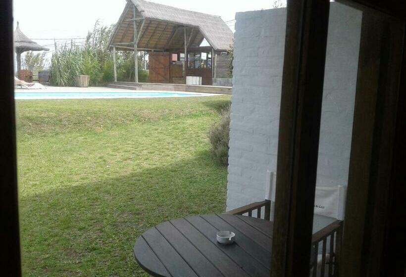 标准间, Complejo Oceanico