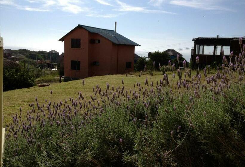 חדר סטנדרט, Complejo Oceanico