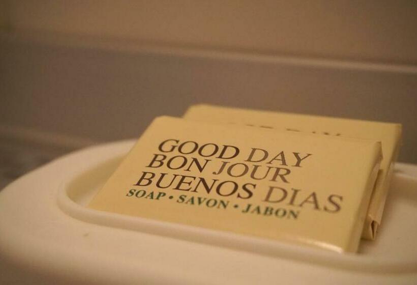 اتاق اکونومی, Holland Lodge Paramaribo