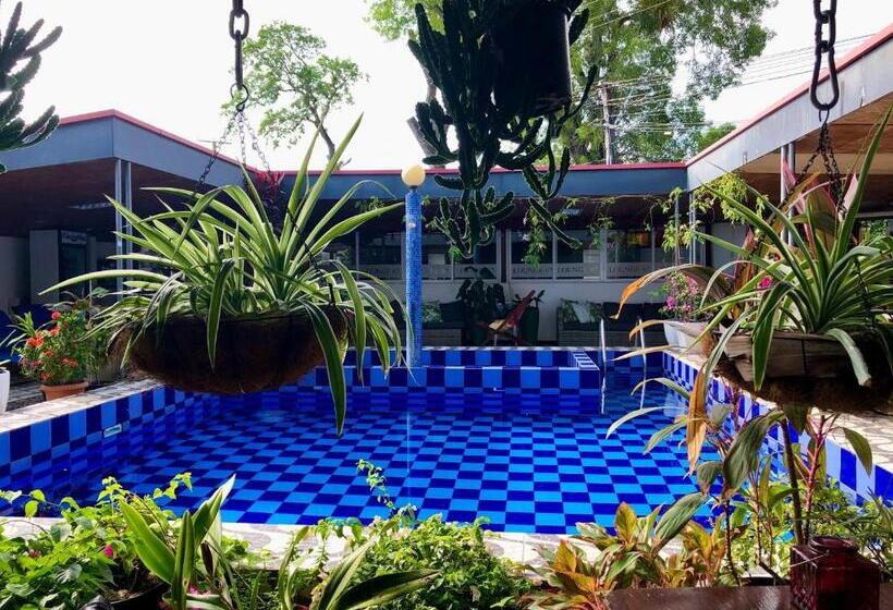 اتاق استاندارد, Holland Lodge Paramaribo