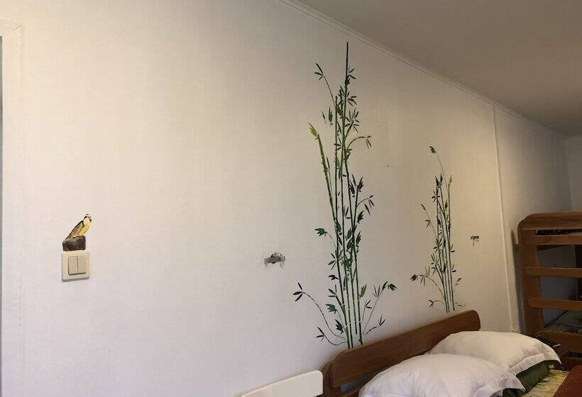 اتاق خانوادگی, Holland Lodge Paramaribo