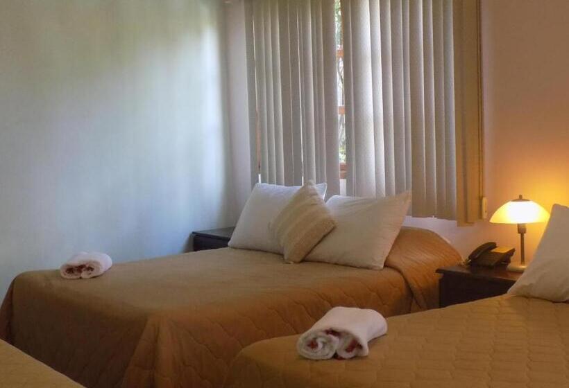 اتاق استاندارد سه نفره, Los Pinos