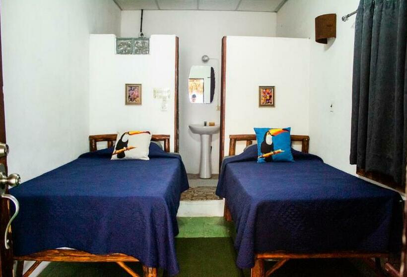 غرفة إقتصادية, San Carlos Beach Inn