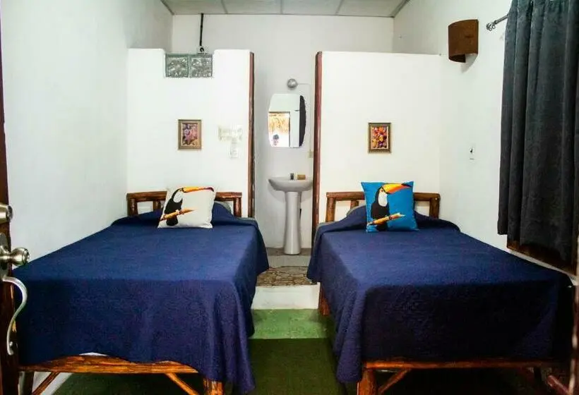 Economy-huone, San Carlos Beach Inn