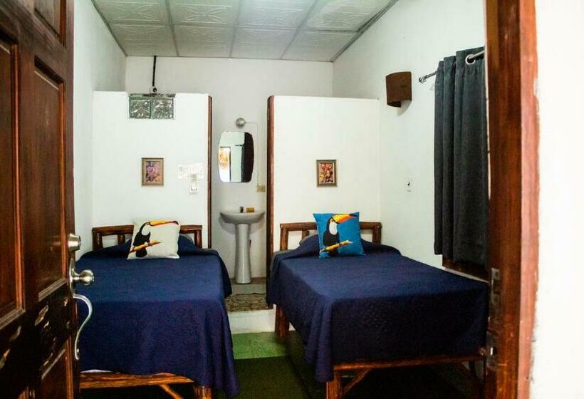 غرفة إقتصادية, San Carlos Beach Inn