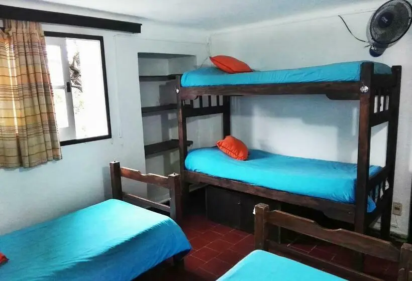 اتاق استاندارد چهار تخته, Planet Punta Del Este Hostel