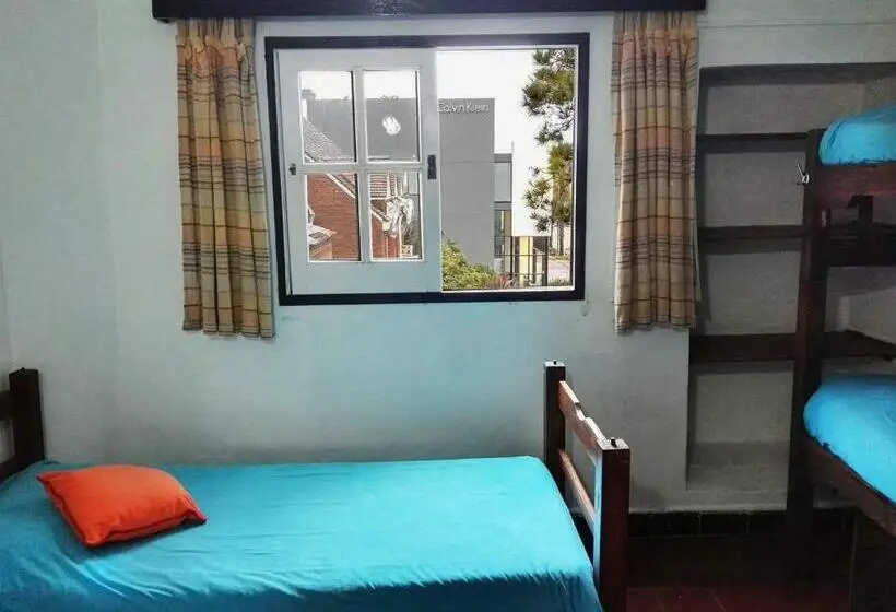 اتاق استاندارد چهار تخته, Planet Punta Del Este Hostel