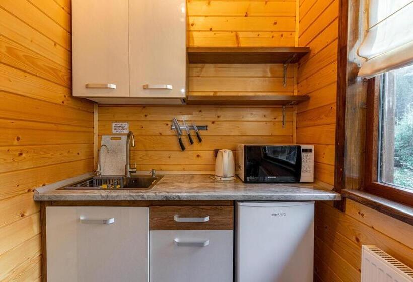 Standard Studio with Views, Arnika