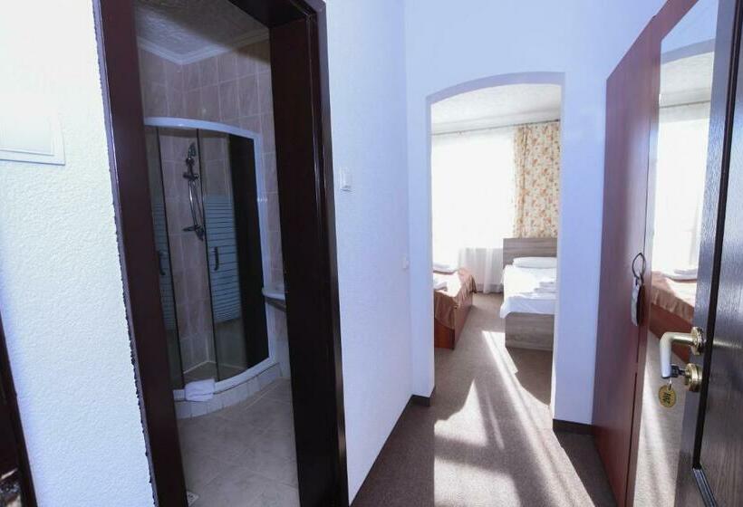 اتاق استاندارد سه نفره, Continent