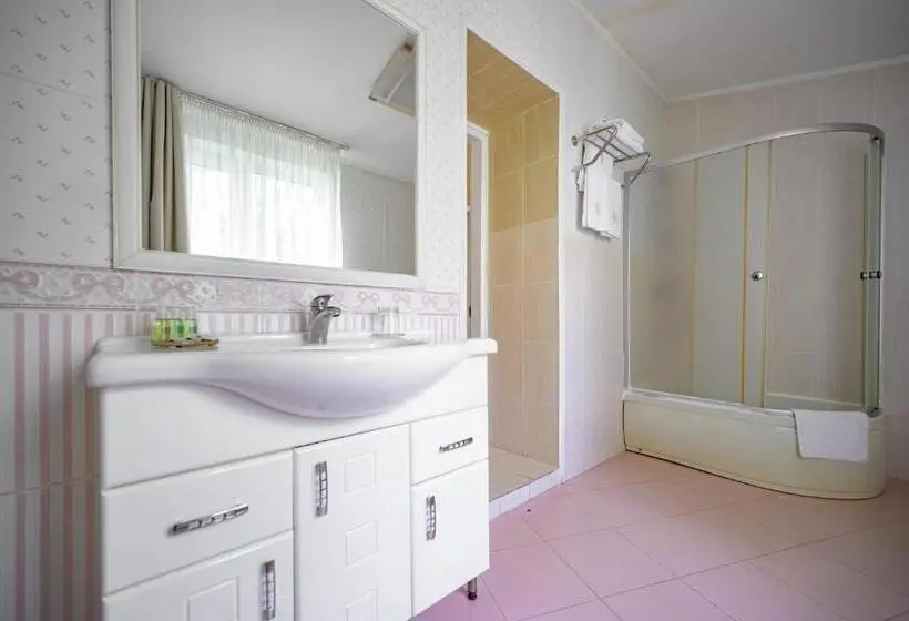 اتاق استاندارد سه نفره, Gostiniy Dvor