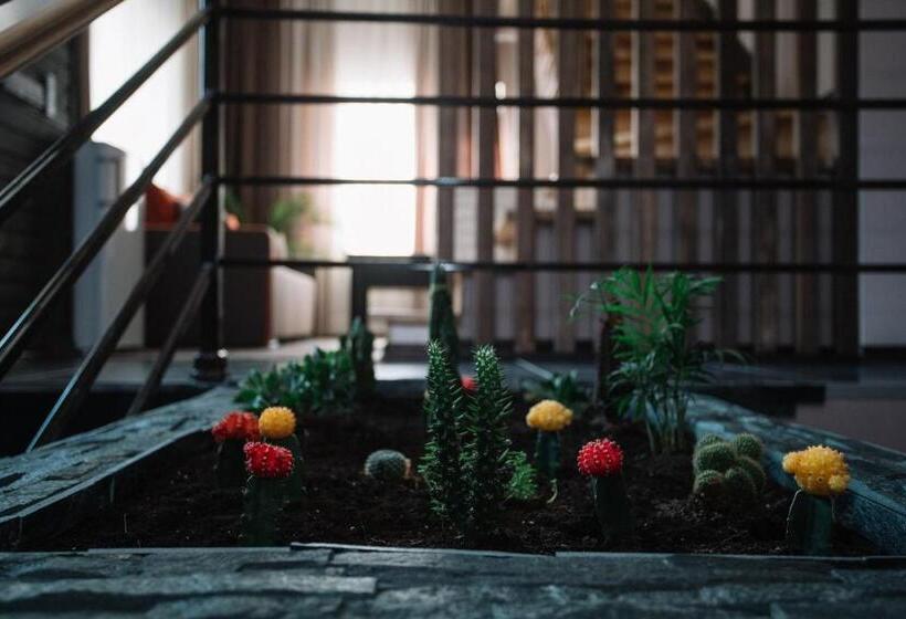 اتاق لوکس چهار تخته, Kateryna