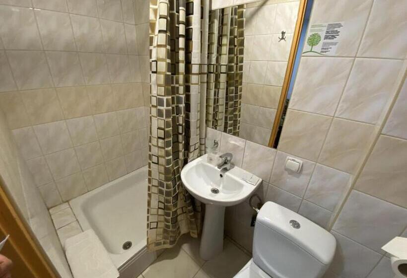 اتاق استاندارد, Leoton Chernivtsi